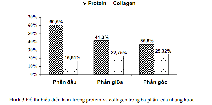 ham-luong-protein