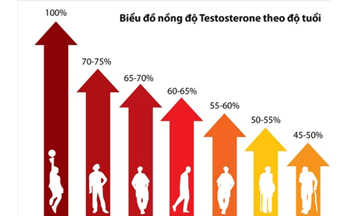 co-the-thieu-hut-testosterone