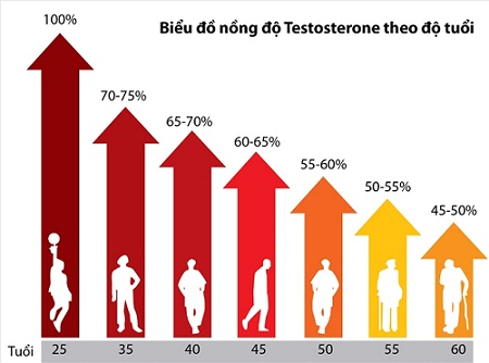 bieu-do-testosterone-theo-tuoi